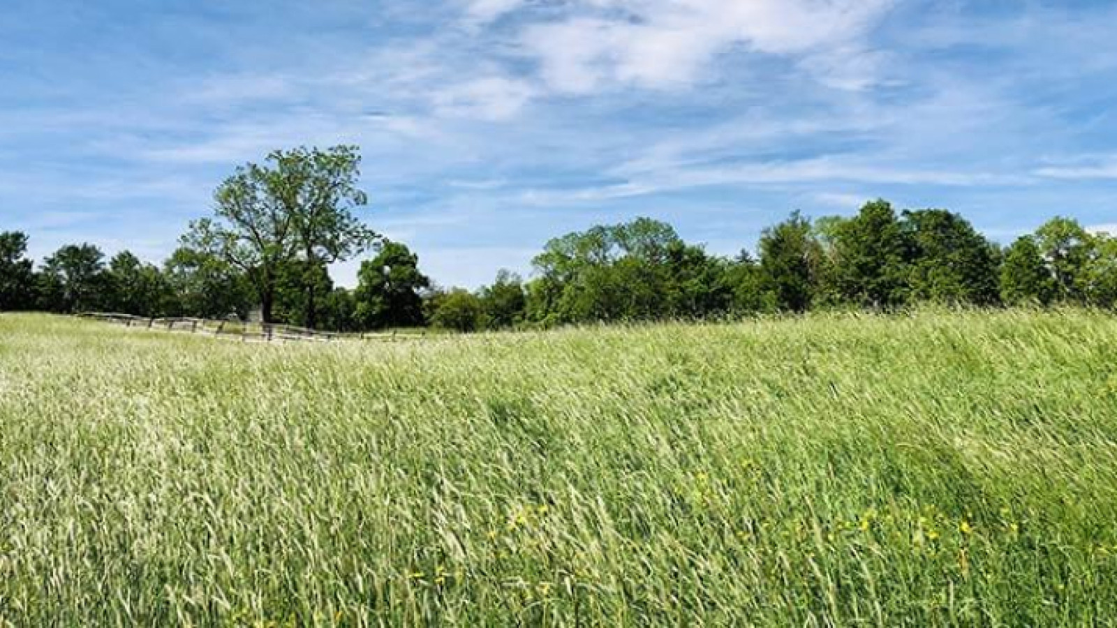 Terrain constructible de 1091m2 à Nieuil-l'Espoir