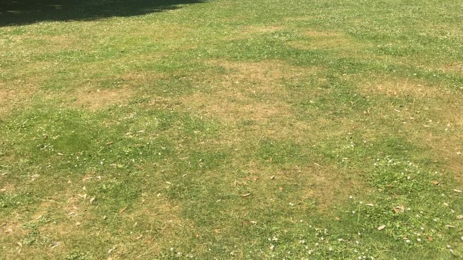 Terrain constructible de 460m2 à Nueil-les-Aubiers