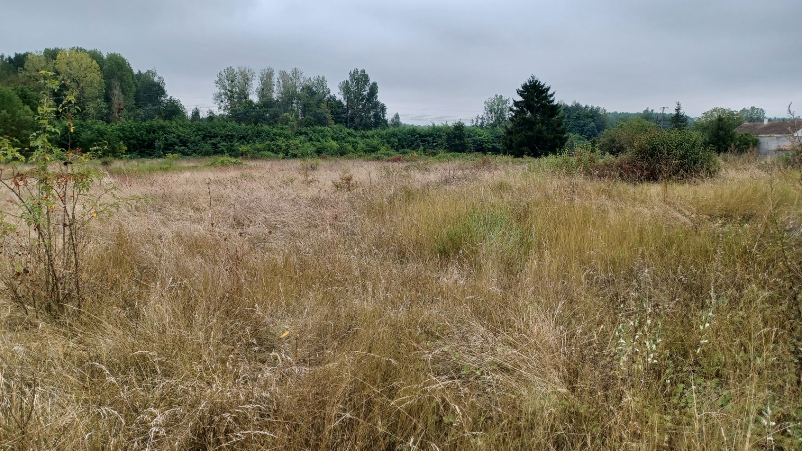 Terrain constructible de 1885m2 à Champagné-Saint-Hilaire