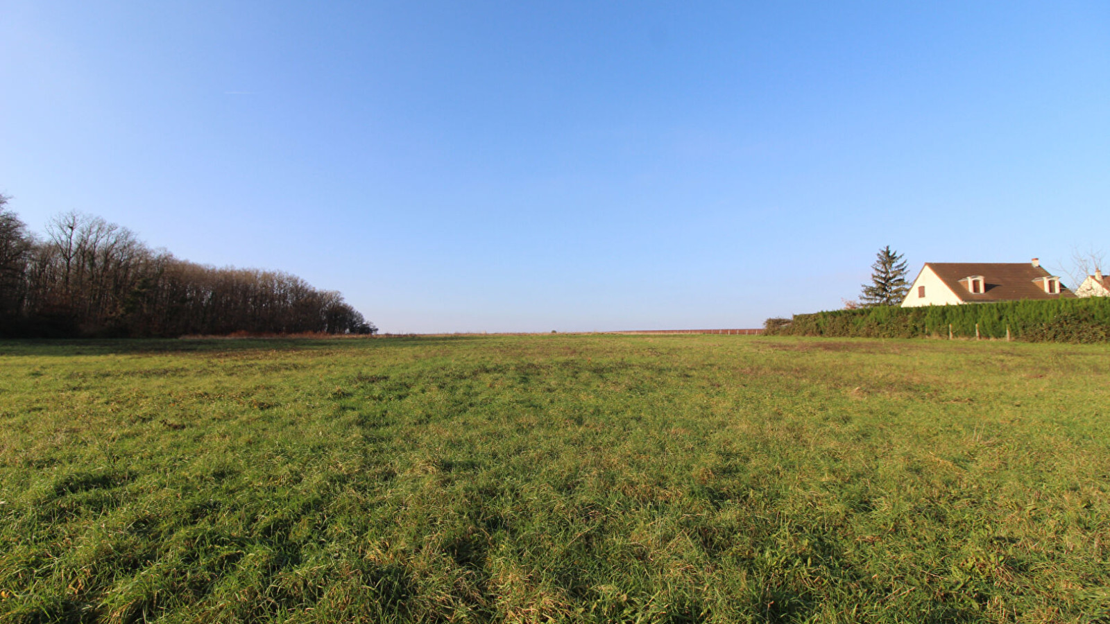 Terrain constructible de 1500m2 à Soings-en-Sologne