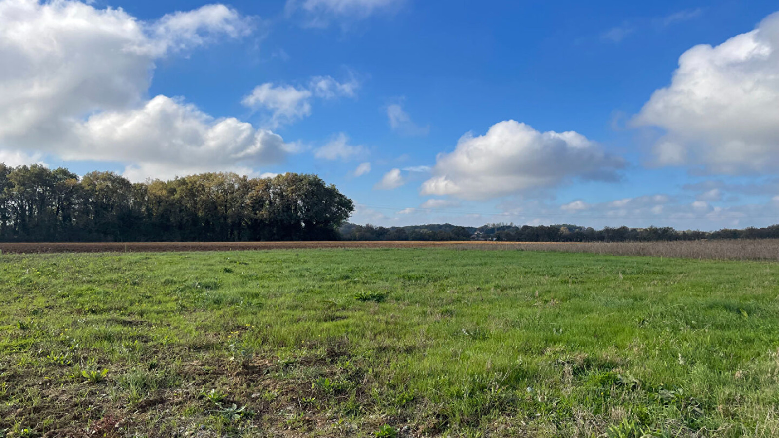 Terrain constructible de 655m2 à Ligugé