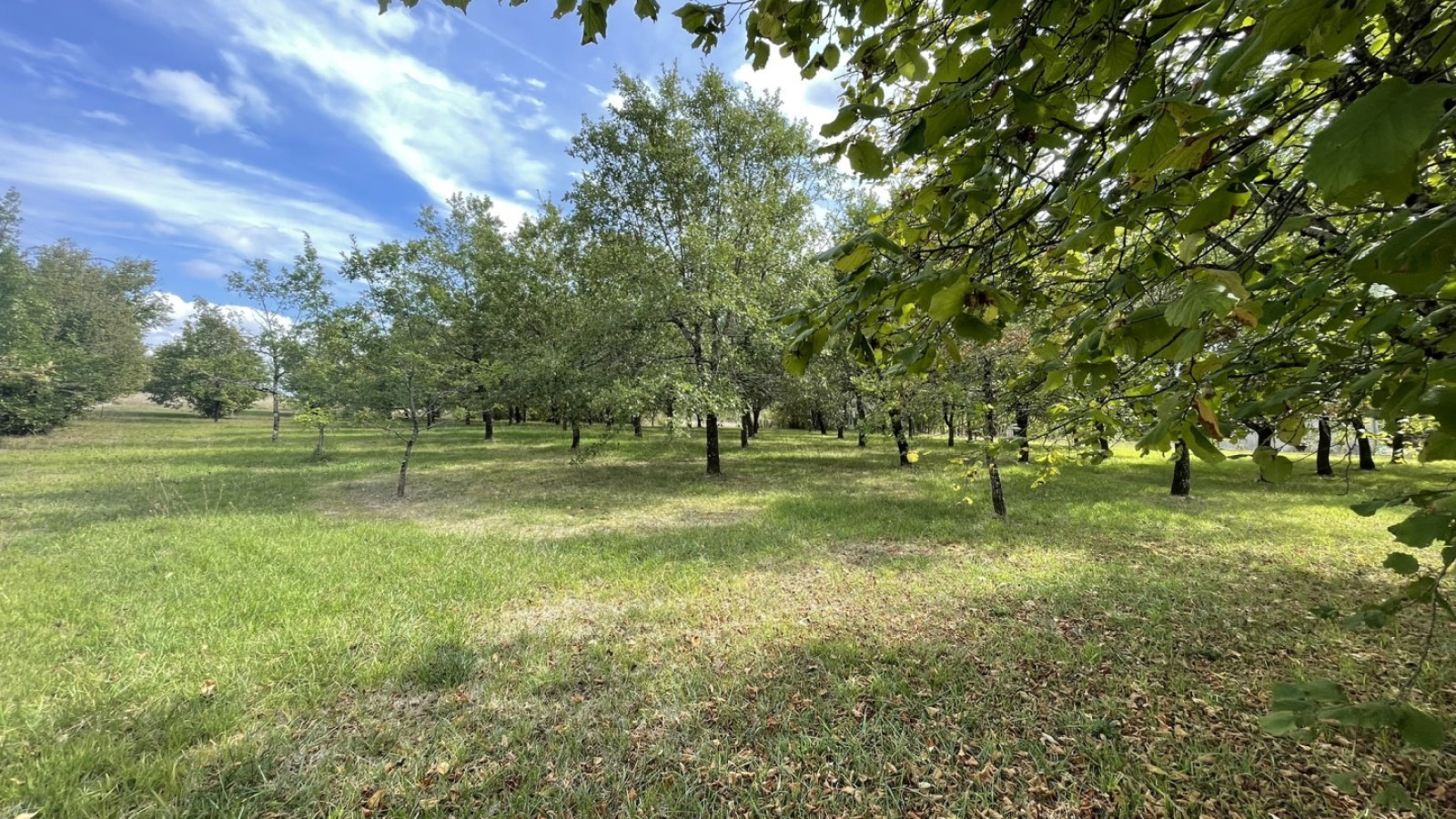 Terrain constructible de 1000m2 à Archigny