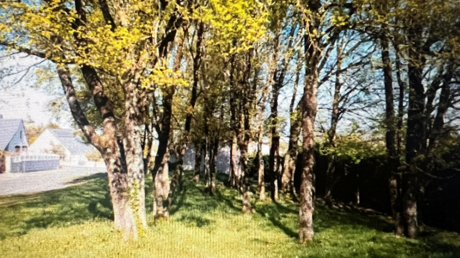 Terrain constructible de 684m2 à Cinq-Mars-la-Pile