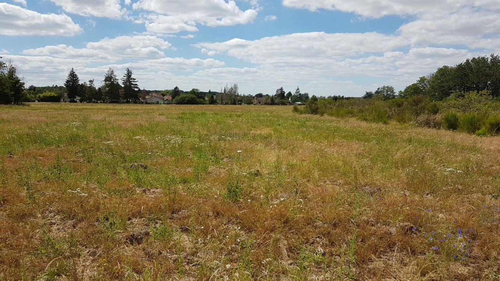 Terrain constructible de 482m2 à Vienne-en-Val