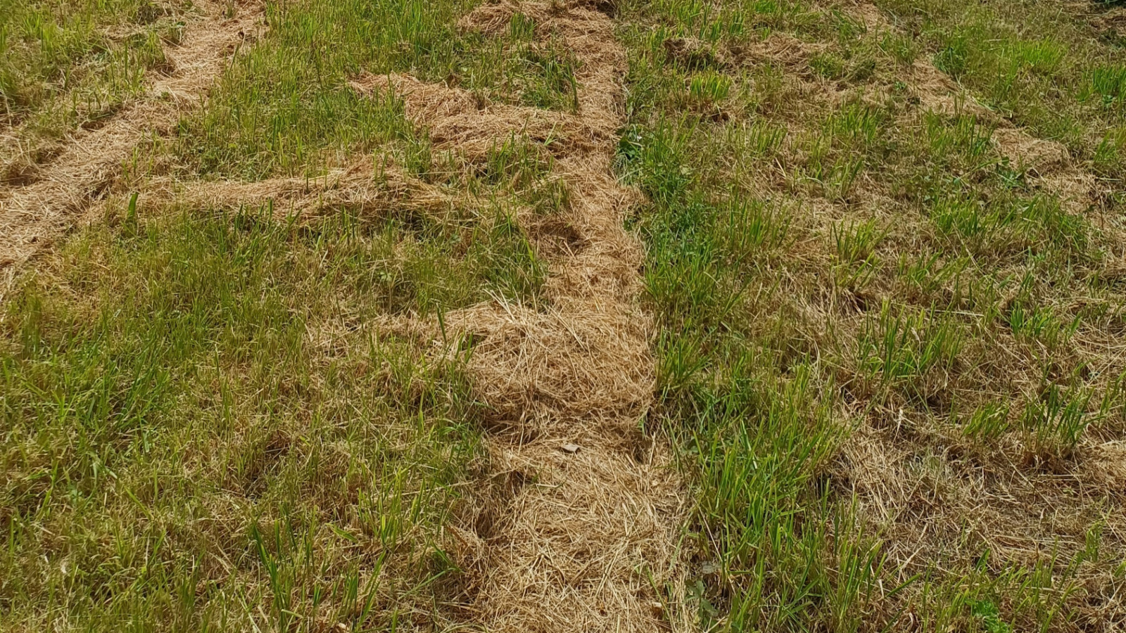 Terrain constructible de 2489m2 à Bégrolles-en-Mauges