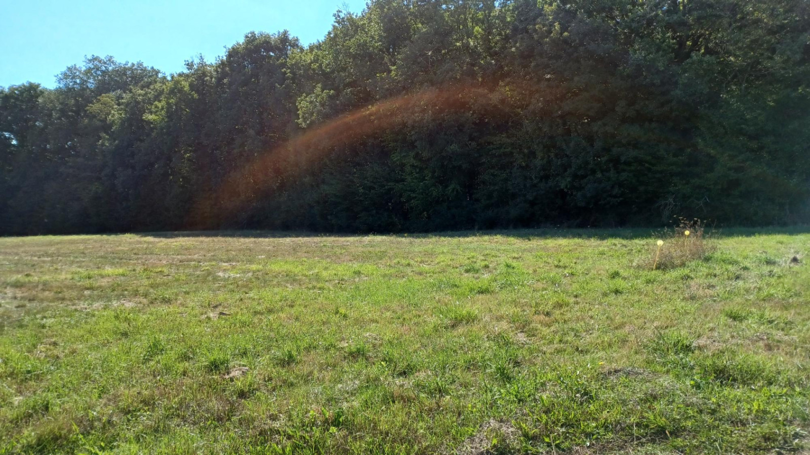 Terrain constructible de 1304m2 à Girolles