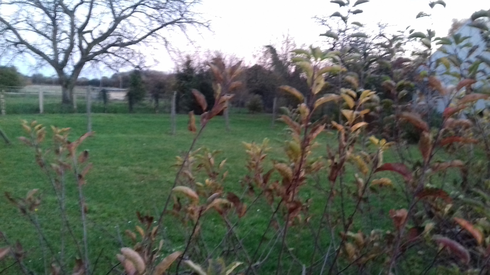 Terrain constructible de 1000m2 à Saint-Germain-des-Prés