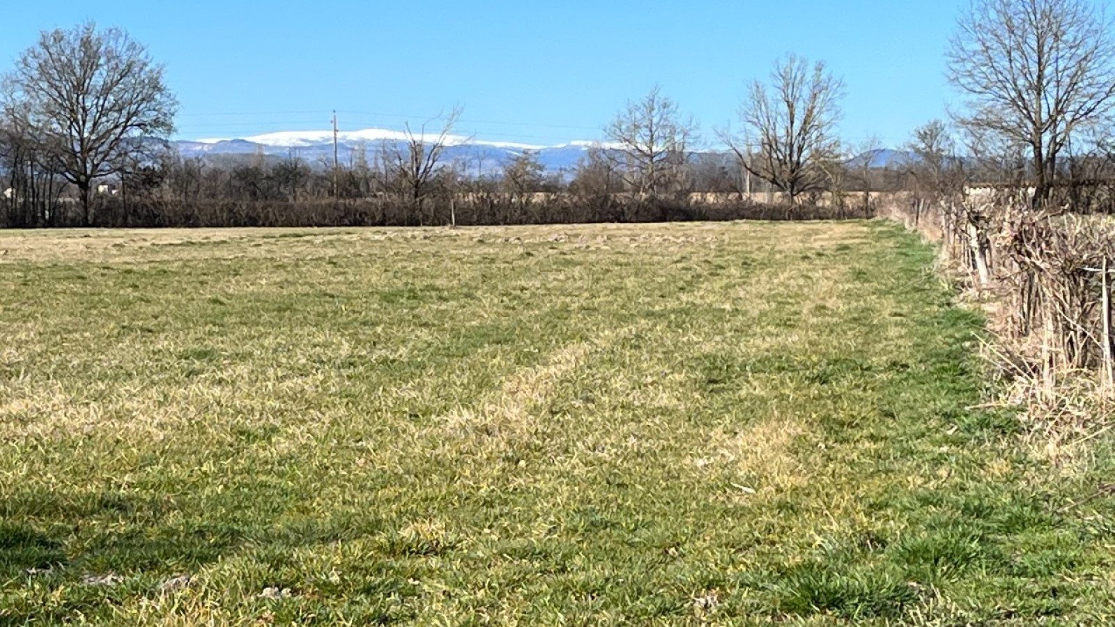 Terrain constructible de 503m2 à Migné-Auxances