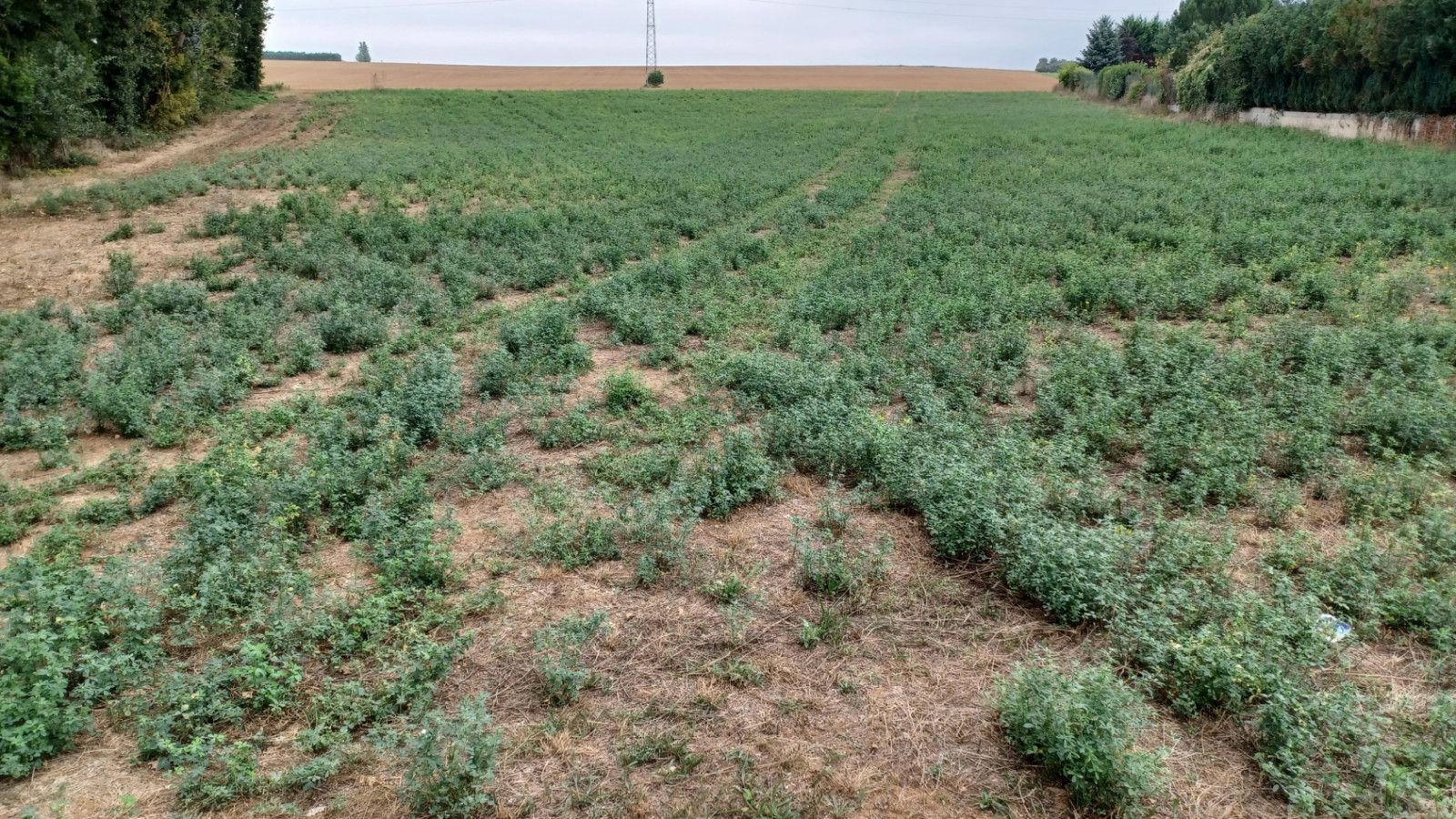 Terrain constructible de 1200m2 à Vouneuil-sous-Biard