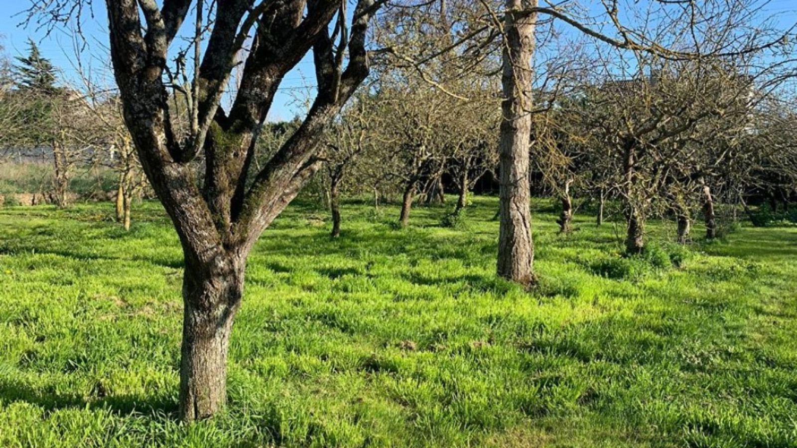 Terrain constructible de 800m2 à Herbault