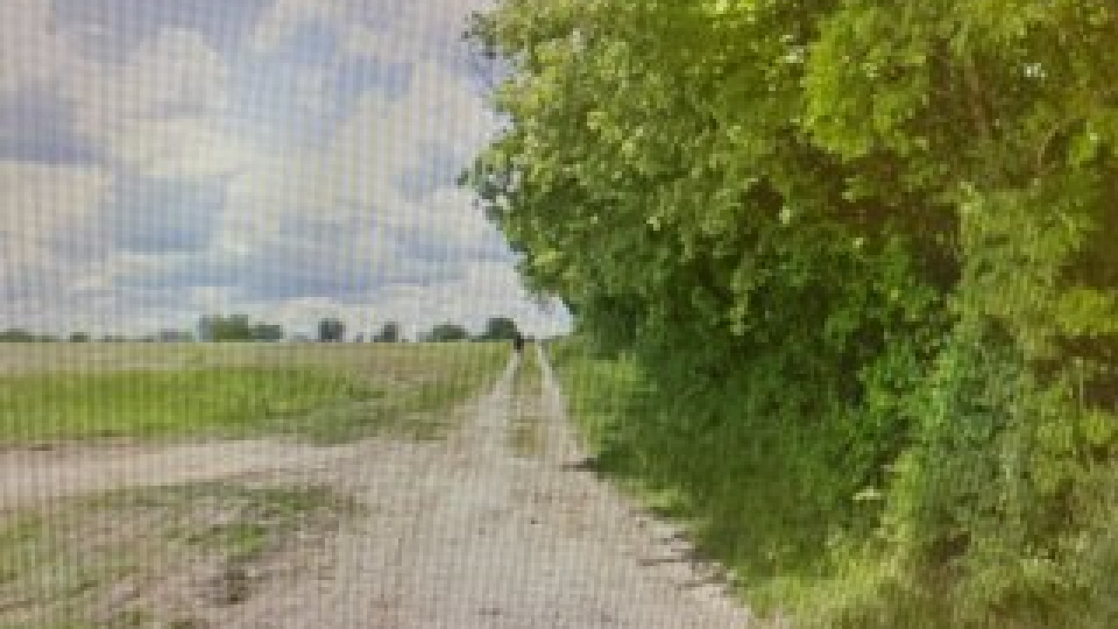 Terrain constructible de 555m2 à Reignac-sur-Indre