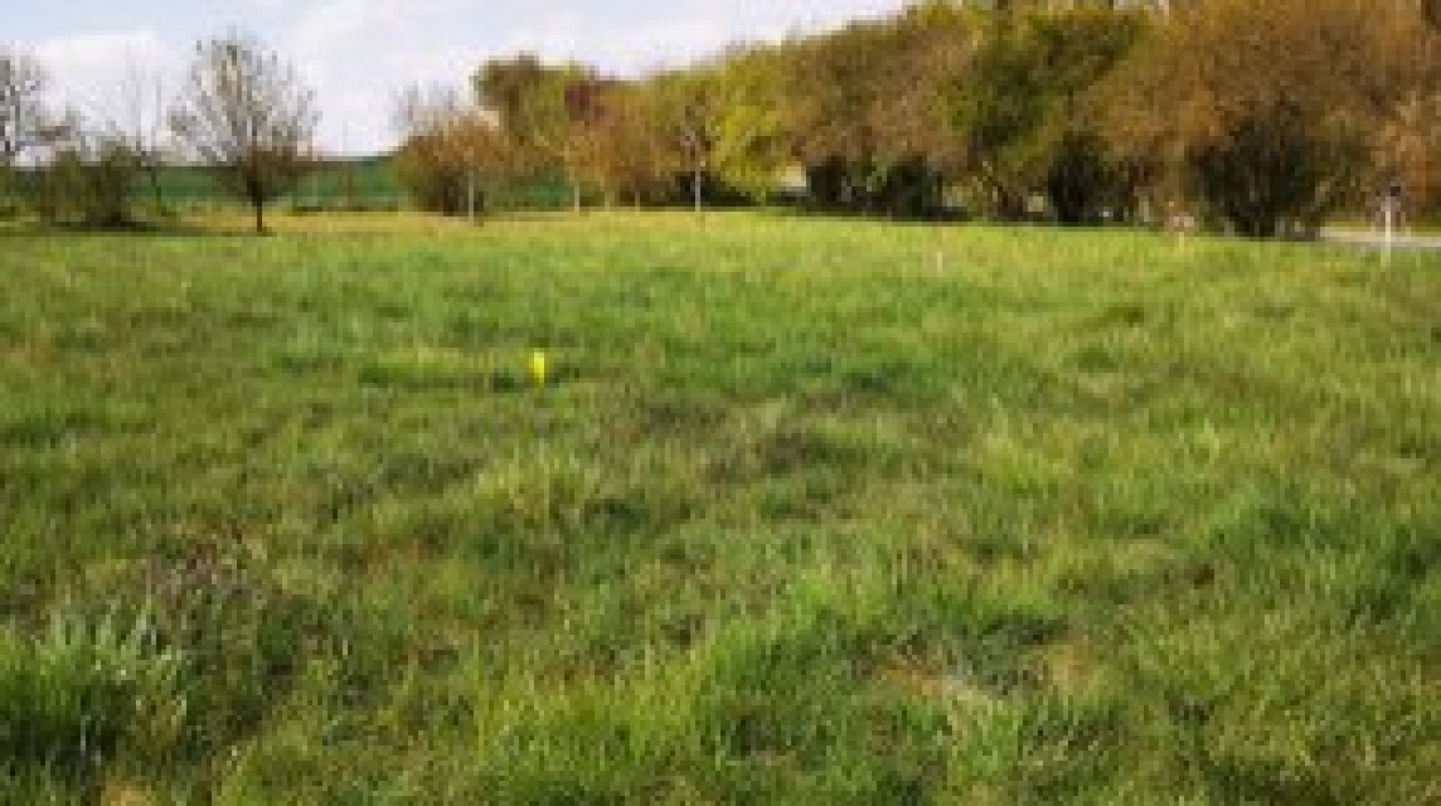 Terrain constructible de 1088m2 à Maillé