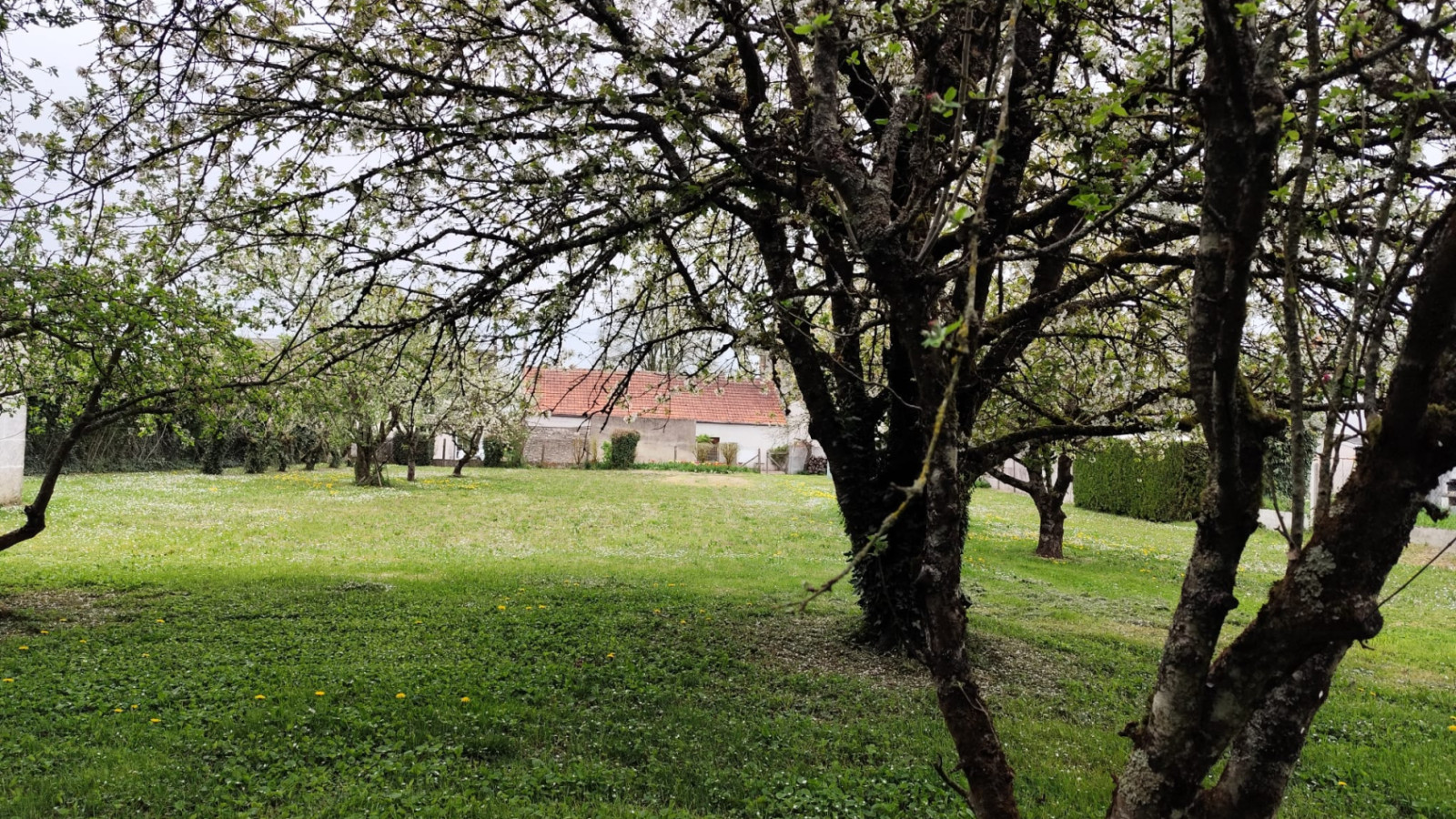Terrain constructible de 1650m2 à Josnes