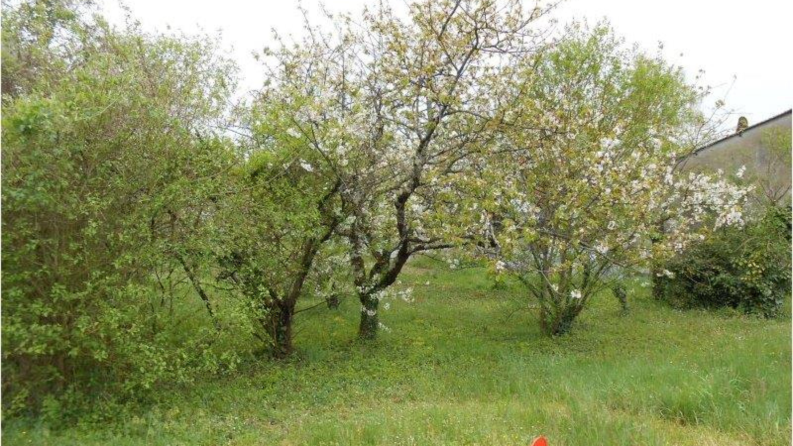 Terrain constructible de 807m2 à Chançay
