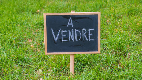 istockphoto-859757050-612x612.jpg