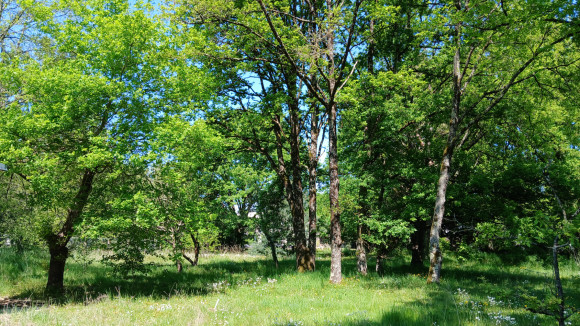 Capture BALLAN (LOT 6).jpg