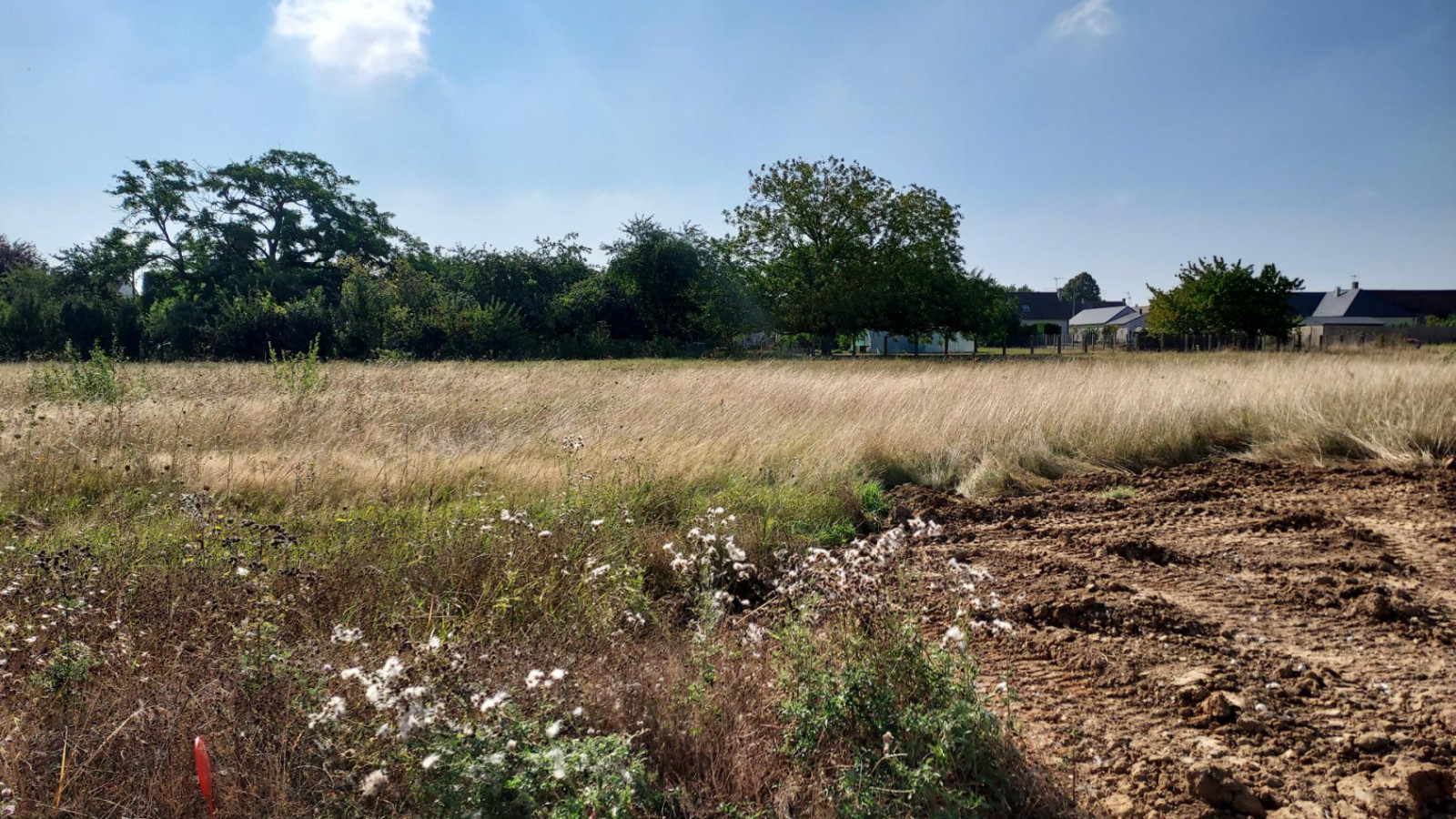Terrain constructible de 1239m2 à Suèvres