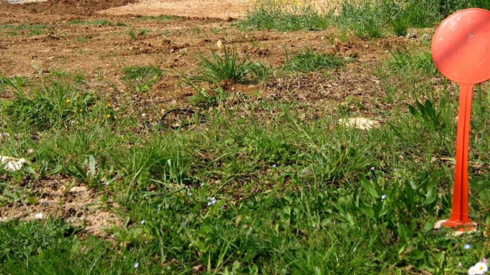 Terrain constructible de 364m2 à Thouars