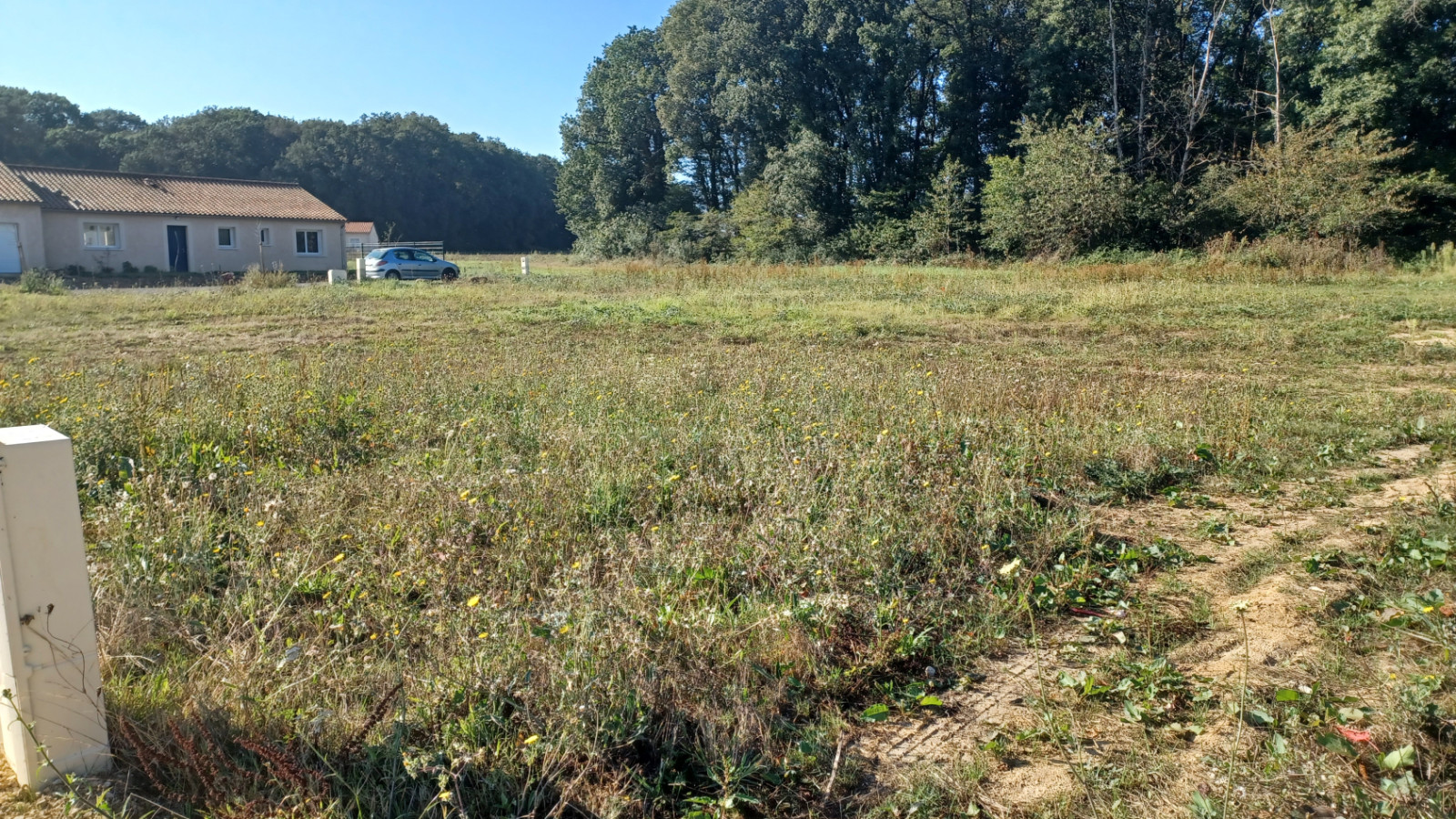 Terrain constructible de 1500m2 à Champigny en Rochereau