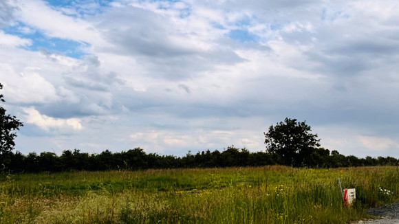 photo.jpg