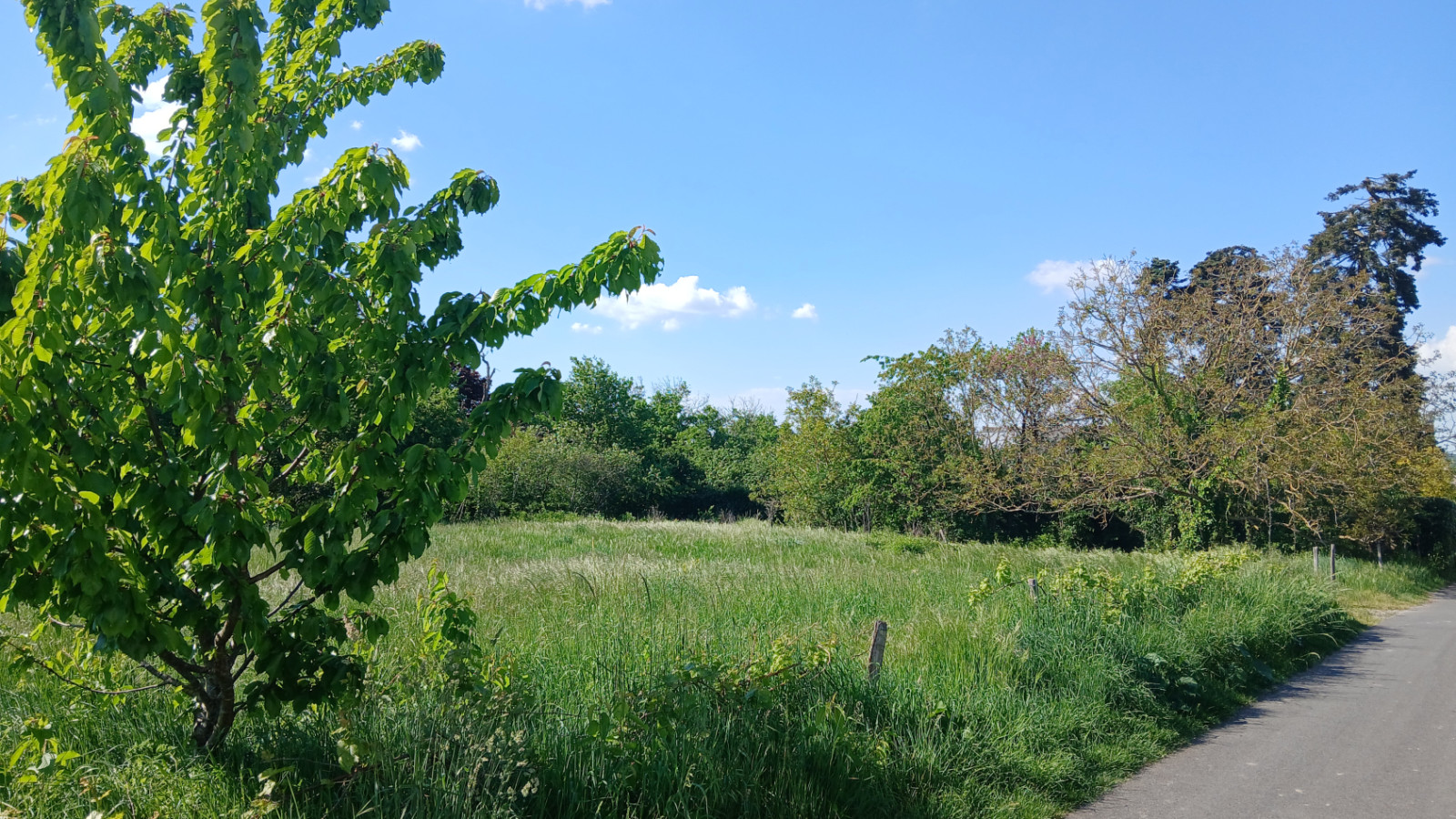 Terrain constructible de 927m2 à Montlouis-sur-Loire