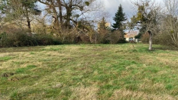 terrain-saint-maurice-sur-fessard-2447-1242883-1920w.jpg