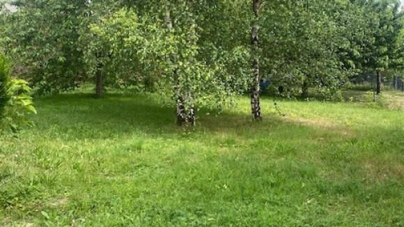terrain Roulet.jpg