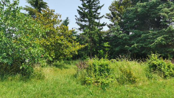 terrain savo 3.jpg