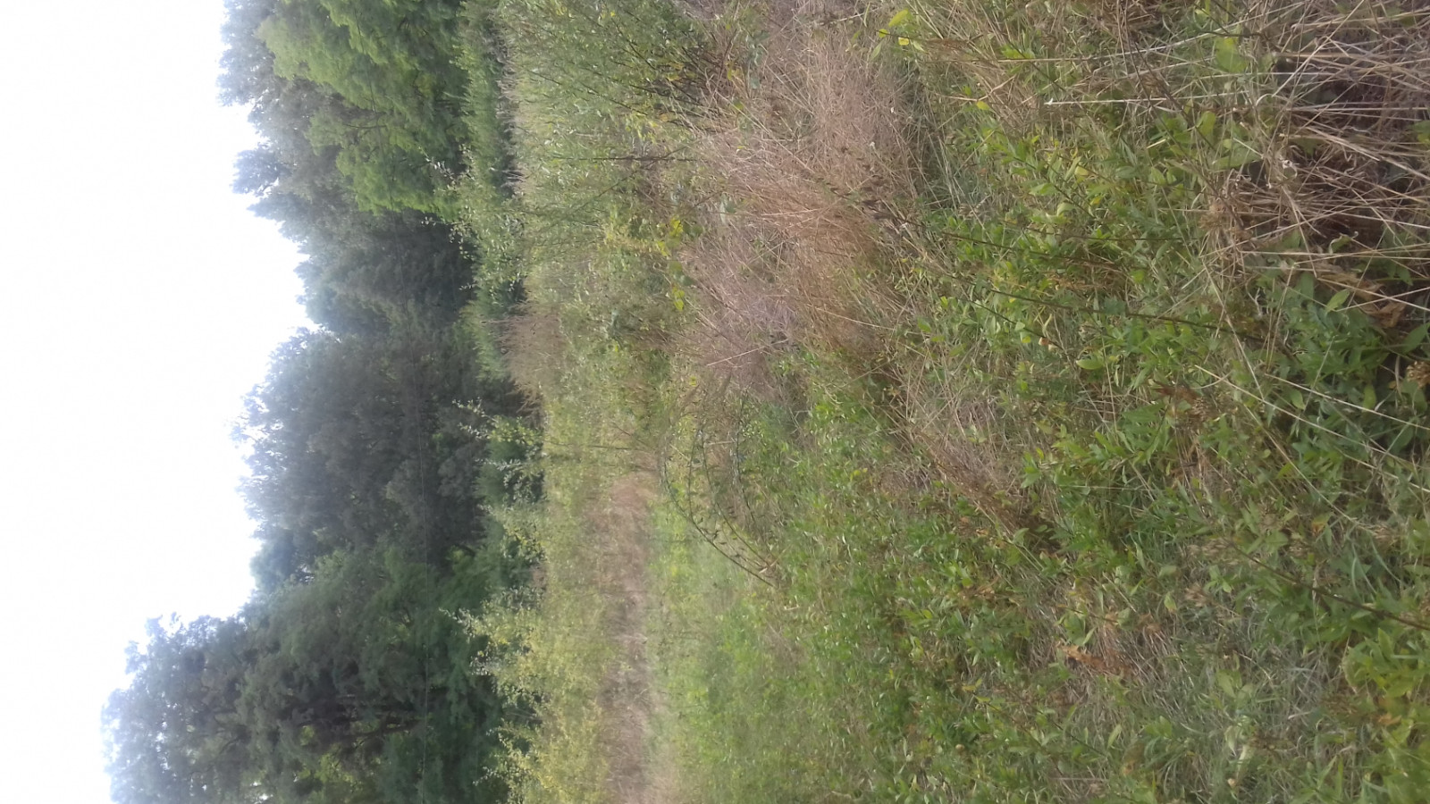 Terrain constructible de 460m2 à Moret-Loing-et-Orvanne