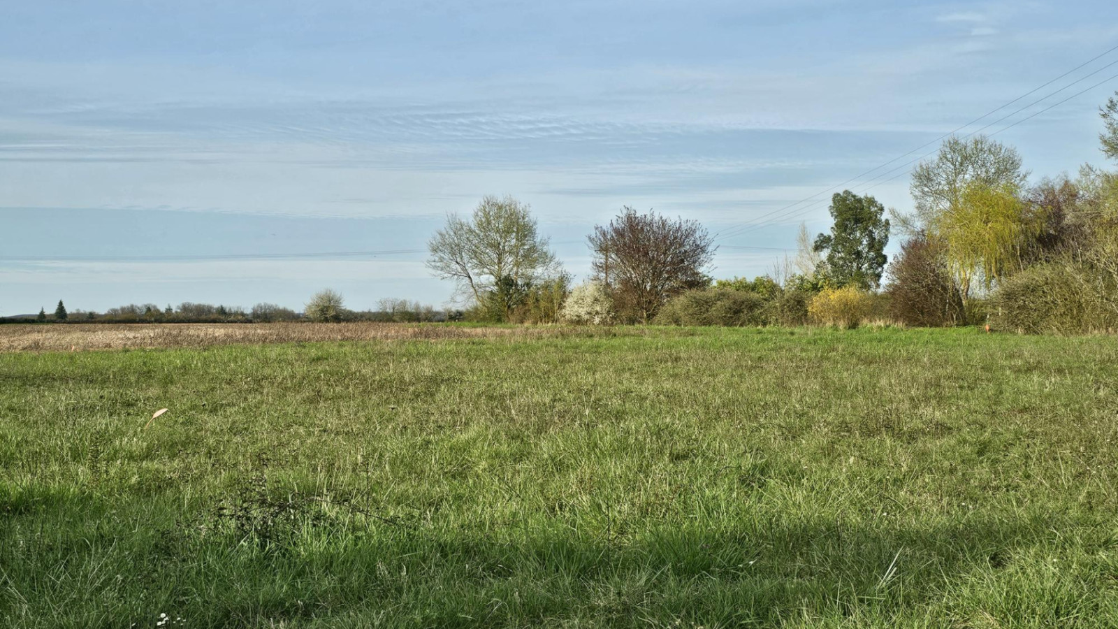 Terrain constructible de 512m2 à Veigné