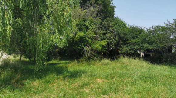 TERRAIN SAVO1.jpg