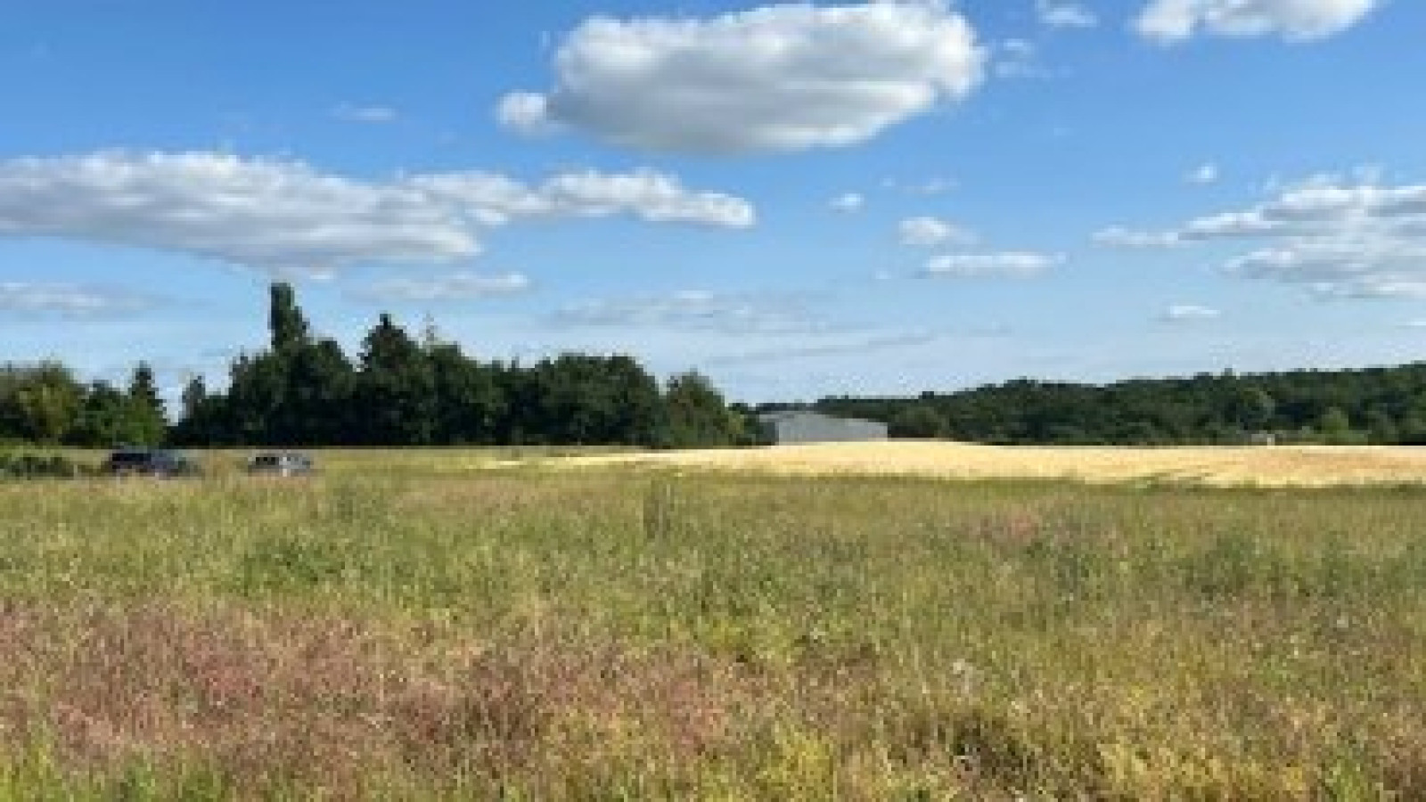 Terrain constructible de 1345m2 à Rouziers-de-Touraine