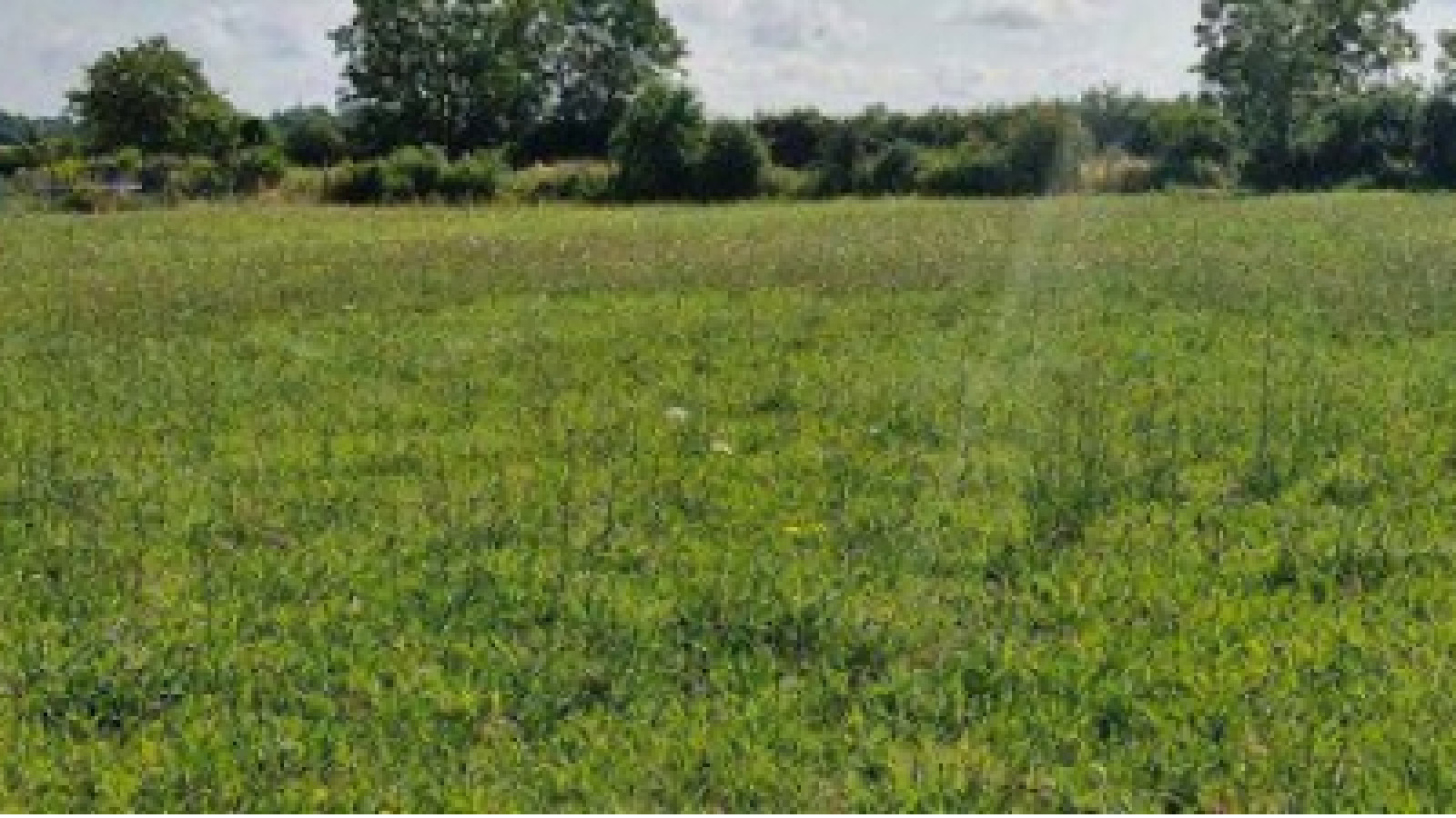 Terrain constructible de 521m2 à Semblançay