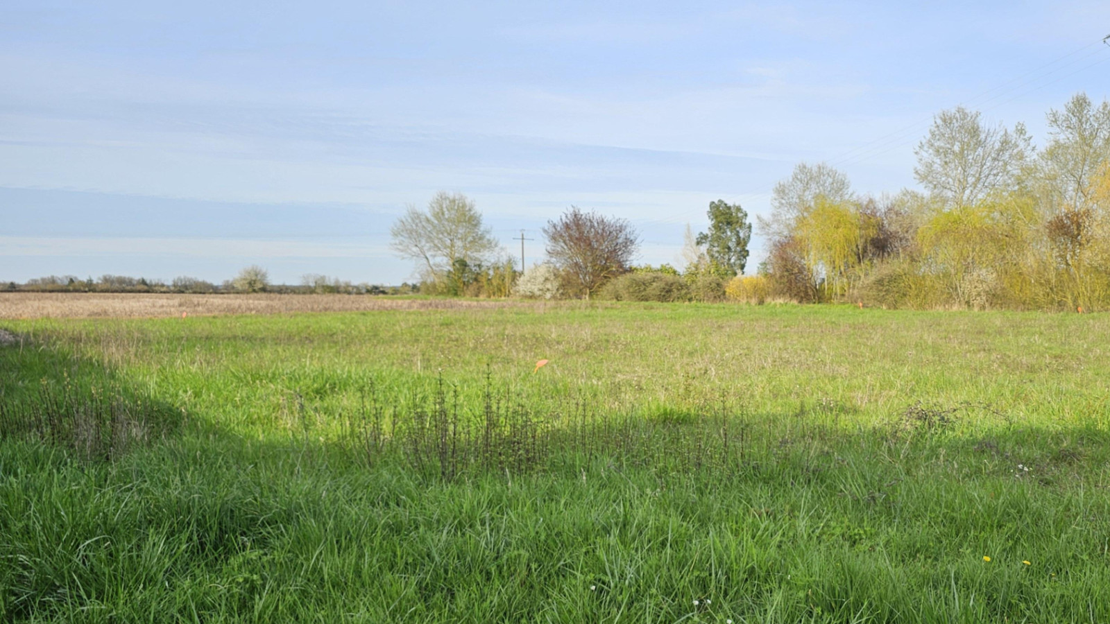 Terrain constructible de 931m2 à Manthelan
