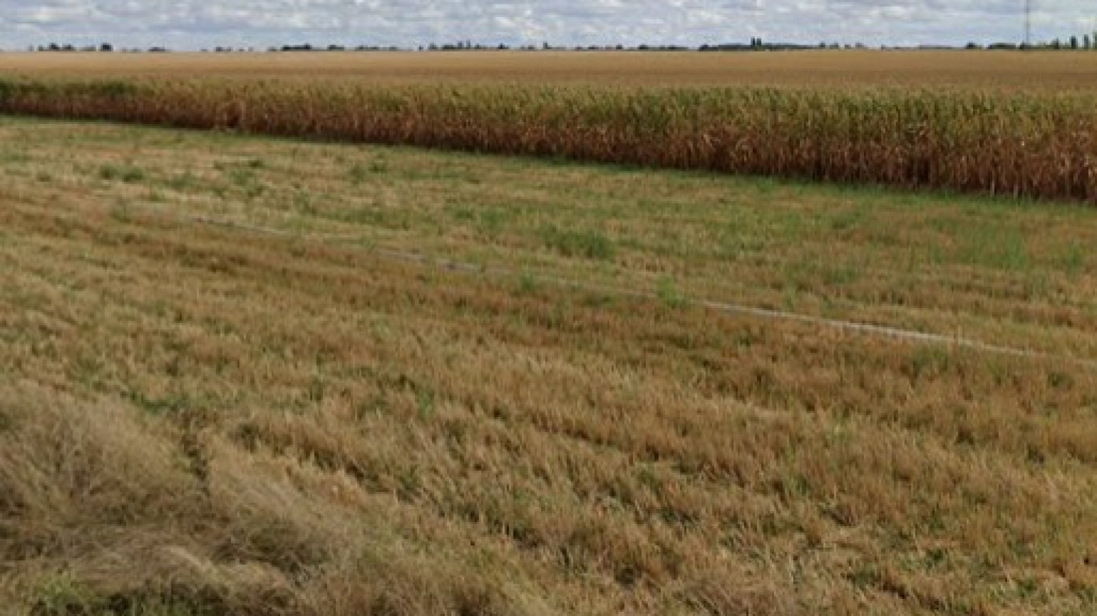 Terrain constructible de 607m2 à Huêtre