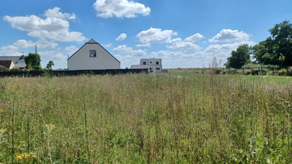 20240624_153417.jpg