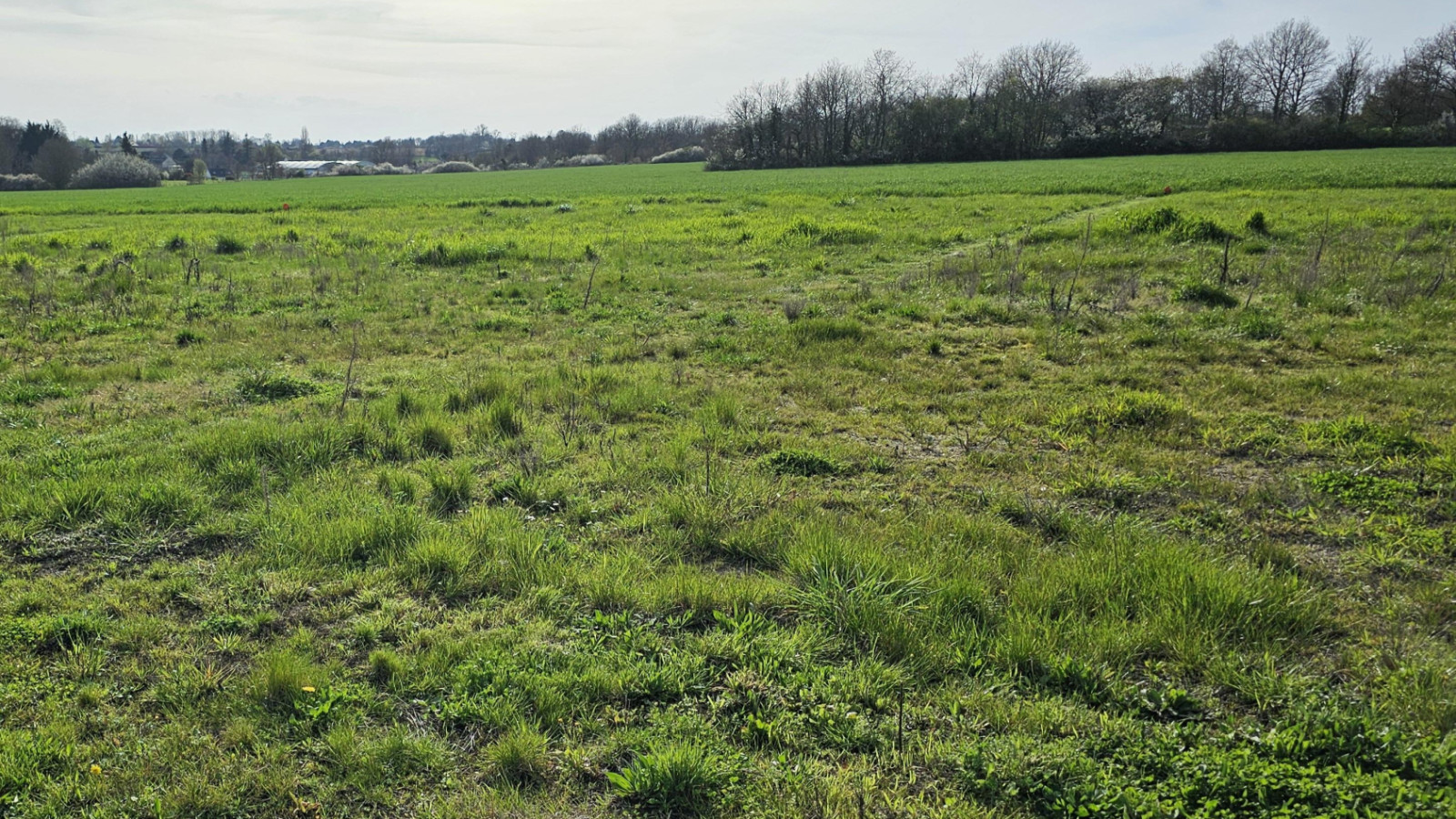 Terrain constructible de 668m2 à La Croix-en-Touraine