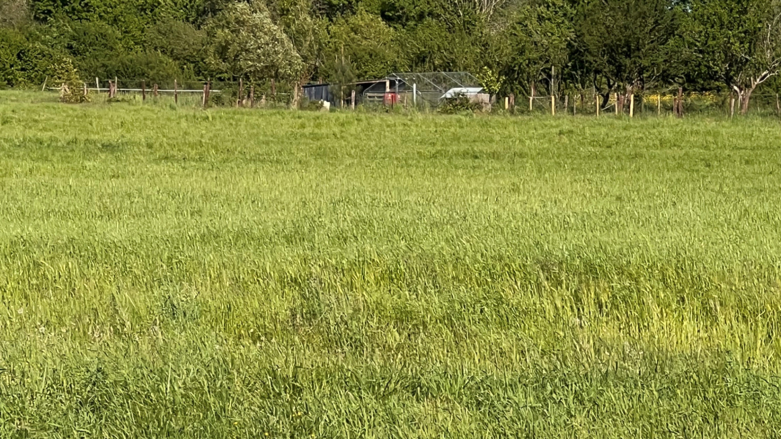 Terrain constructible de 364m2 à Pernay