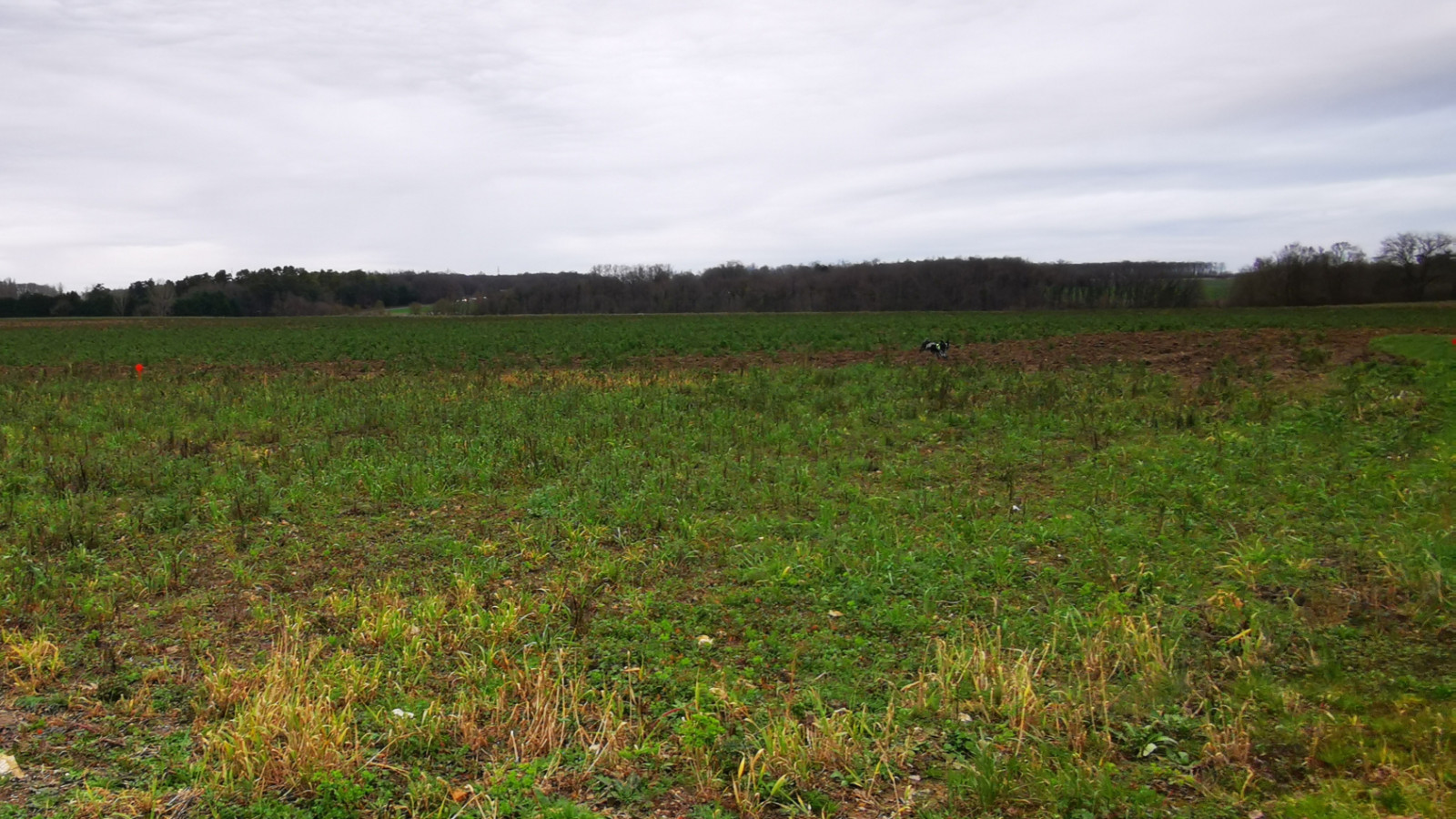 Terrain constructible de 870m2 à Perrusson