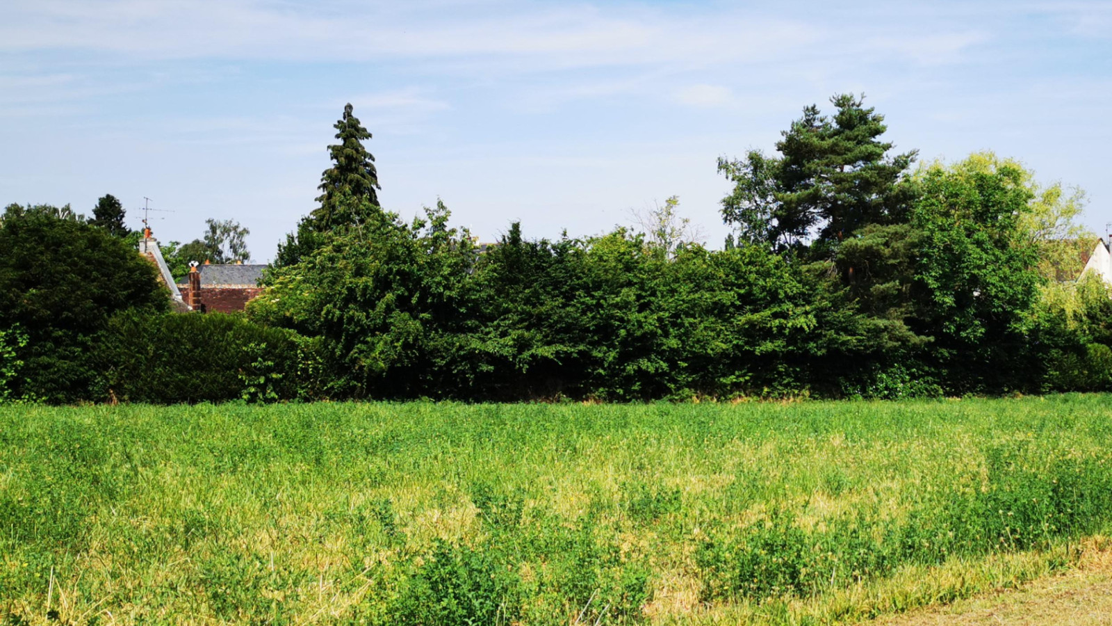 Terrain constructible de 1060m2 à Ligueil
