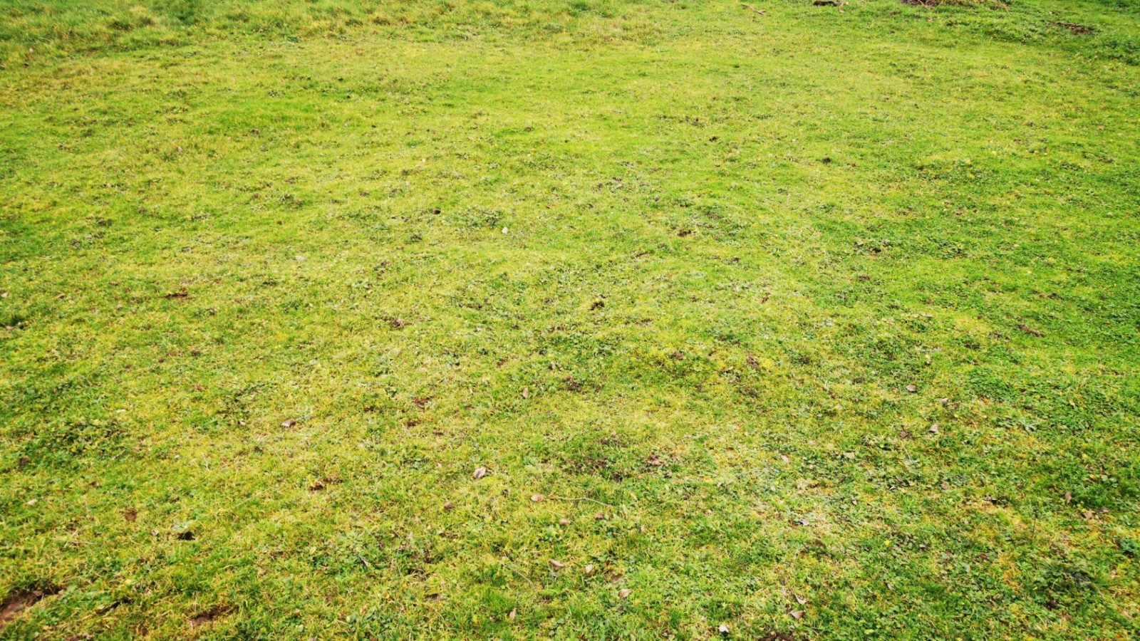 Terrain constructible de 1700m2 à Azay-sur-Indre