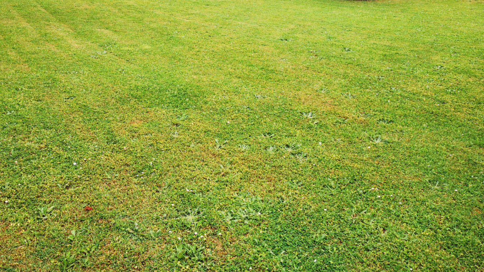 Terrain constructible de 770m2 à Loches