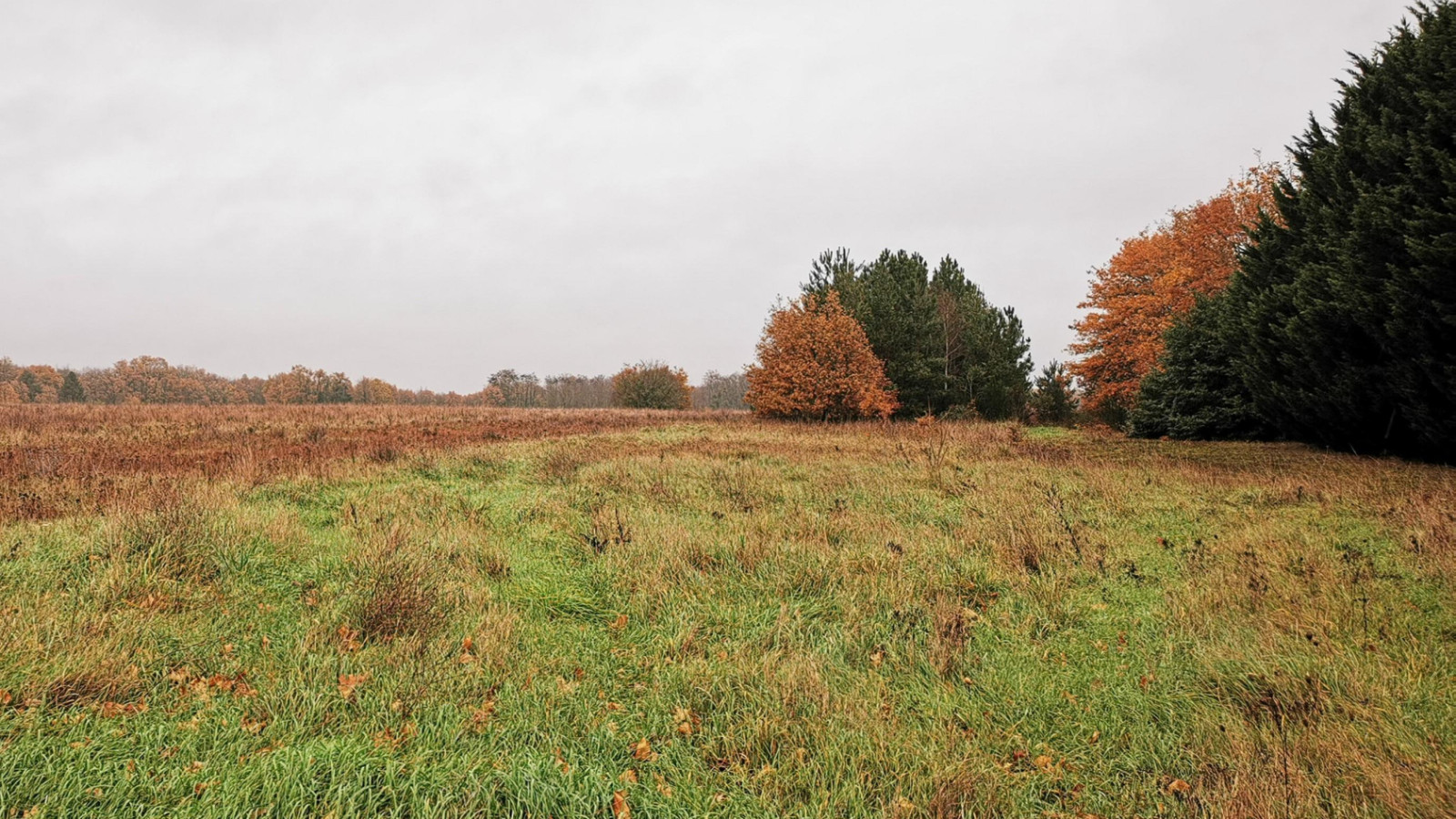 Terrain constructible de 890m2 à Saint-Épain