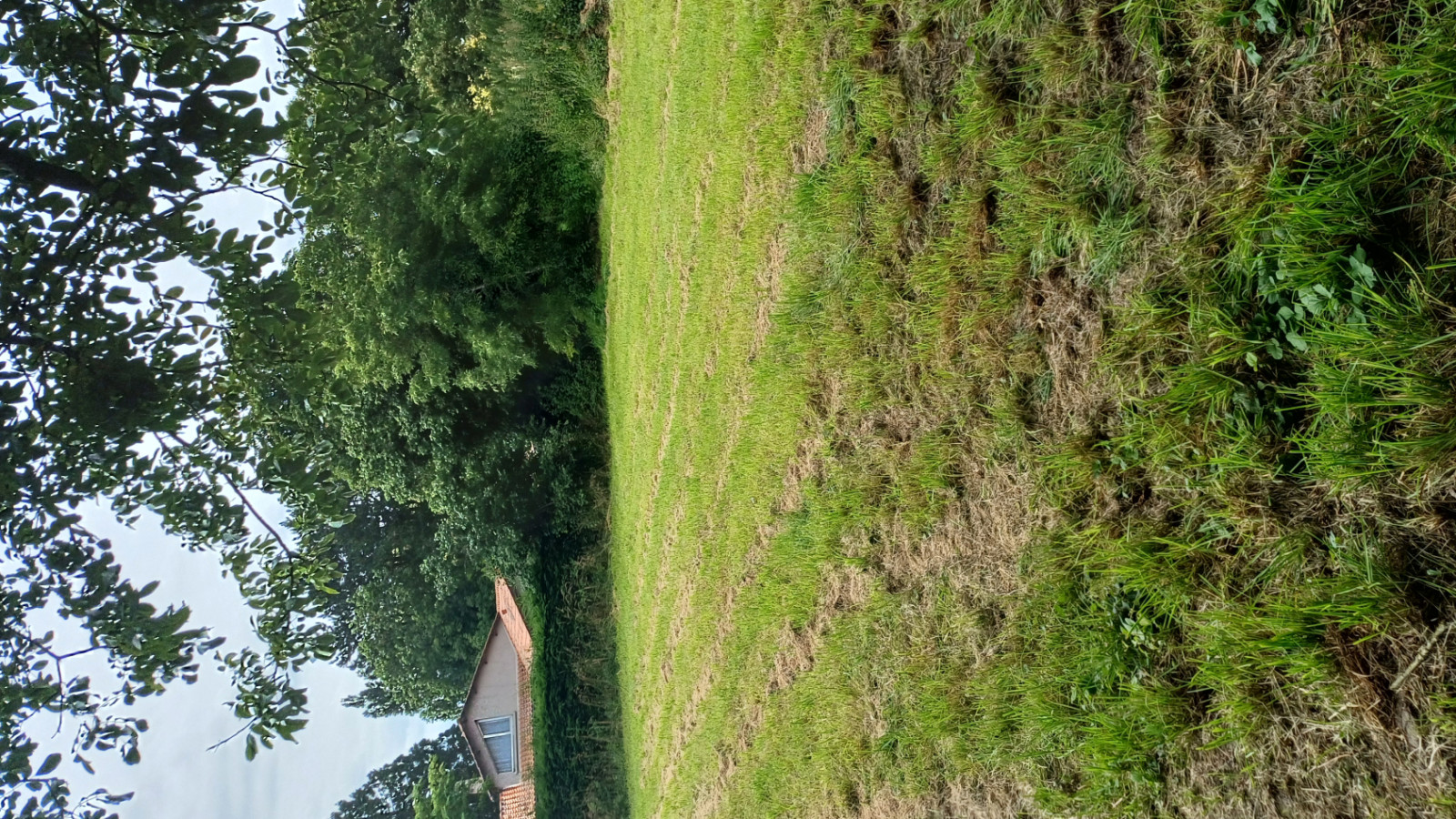 Terrain constructible de 2232m2 à Coron