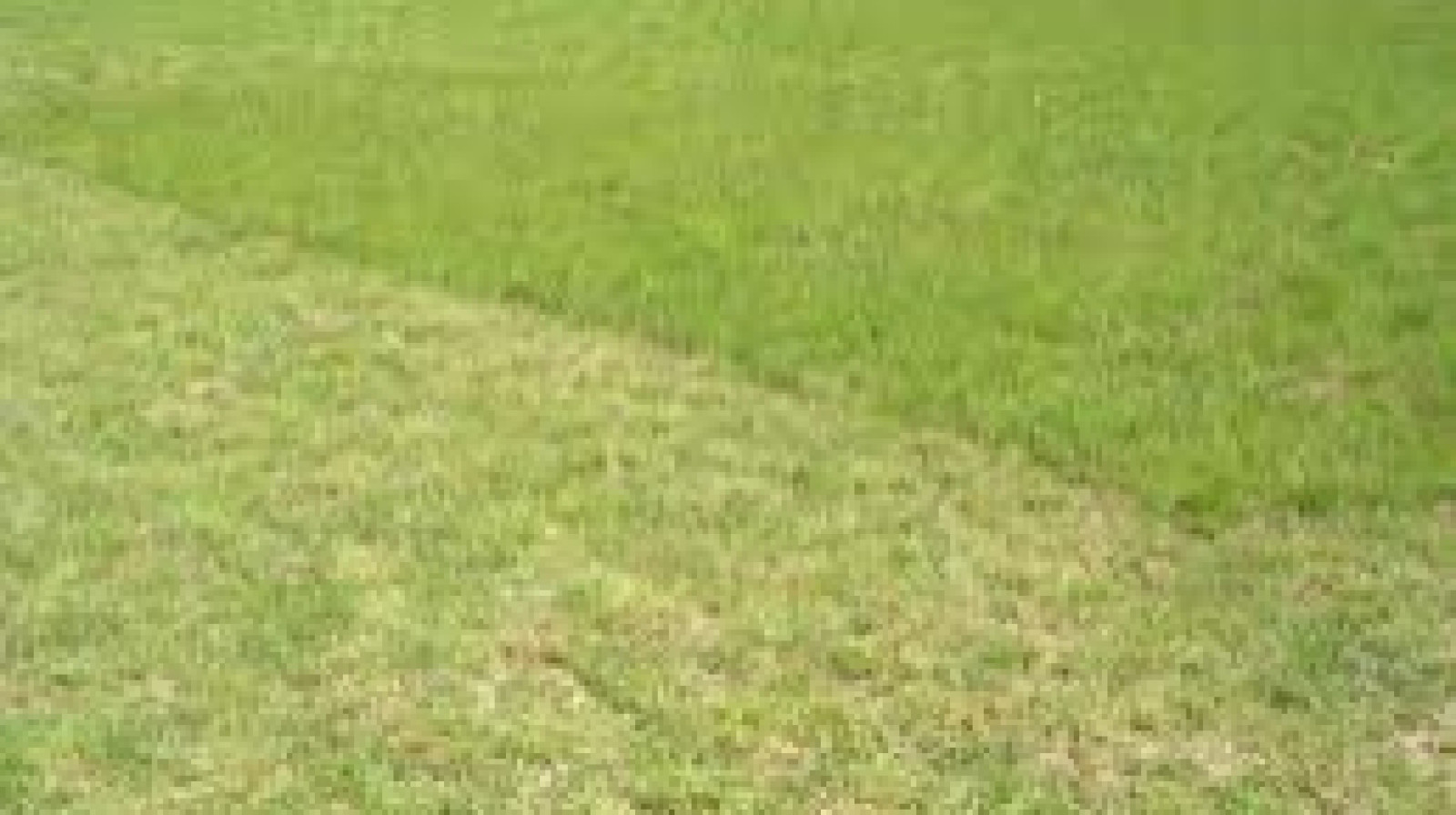 Terrain constructible de 513m2 à Ambillou Terrain constructible de 513m2 à Ambillou