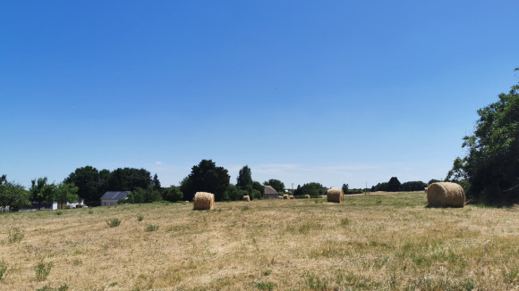 beaumont 5.jpg
