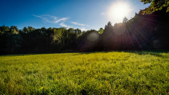 istockphoto-1173957567-612x612.jpg
