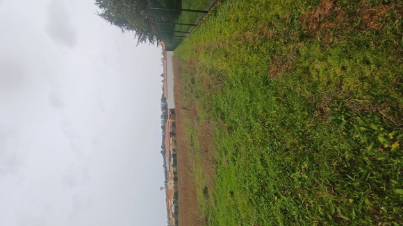 20250108_145854.jpg