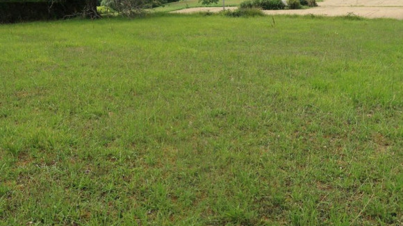 photo terrain à vue.jpg