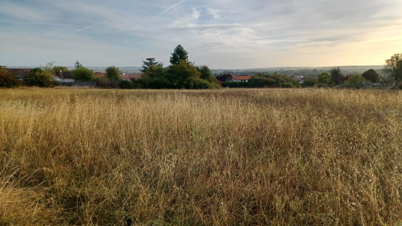 20210928_084611.jpg